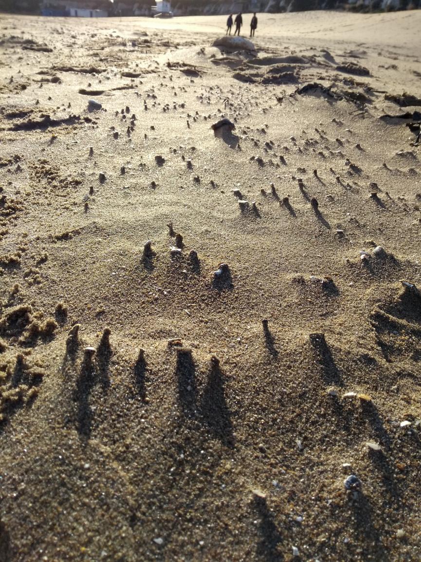Beach Beach