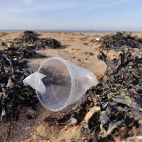 Plastic cup on beach