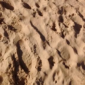 Footprints in sand