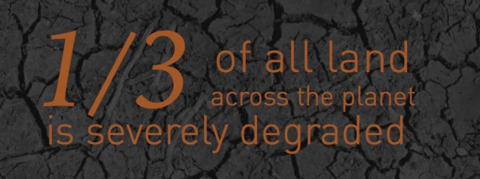 Soil degradation poster